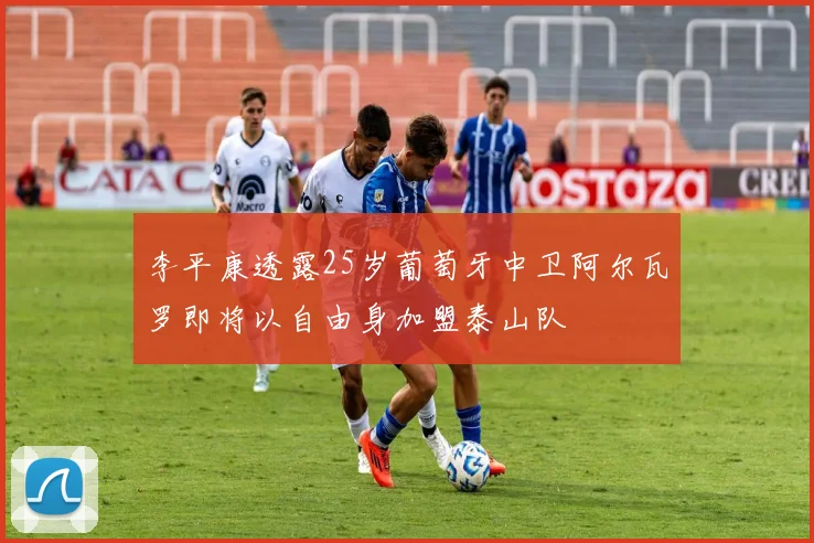 李平康透露25岁葡萄牙中卫阿尔瓦罗即将以自由身加盟泰山队