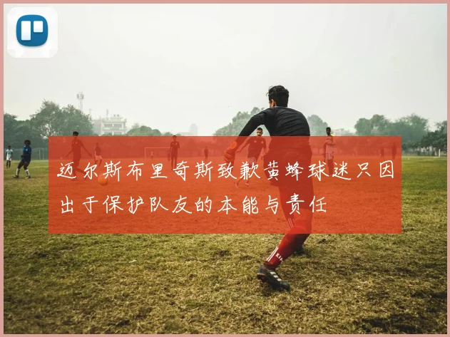 迈尔斯布里奇斯致歉黄蜂球迷只因出于保护队友的本能与责任