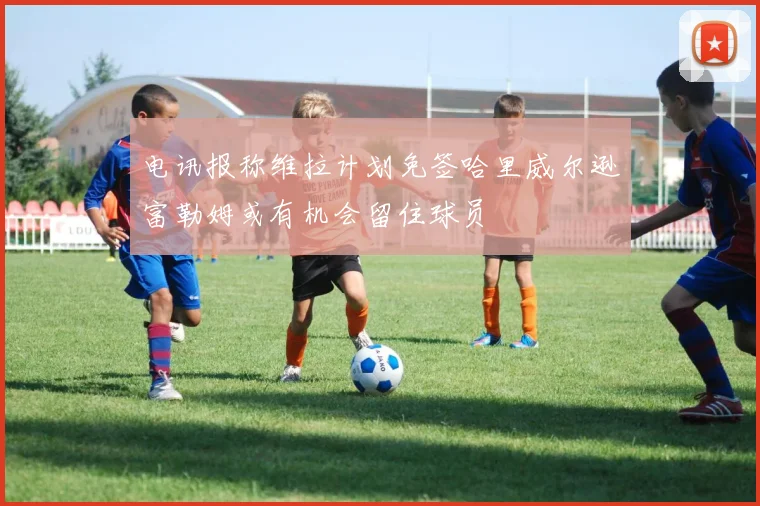 电讯报称维拉计划免签哈里威尔逊富勒姆或有机会留住球员